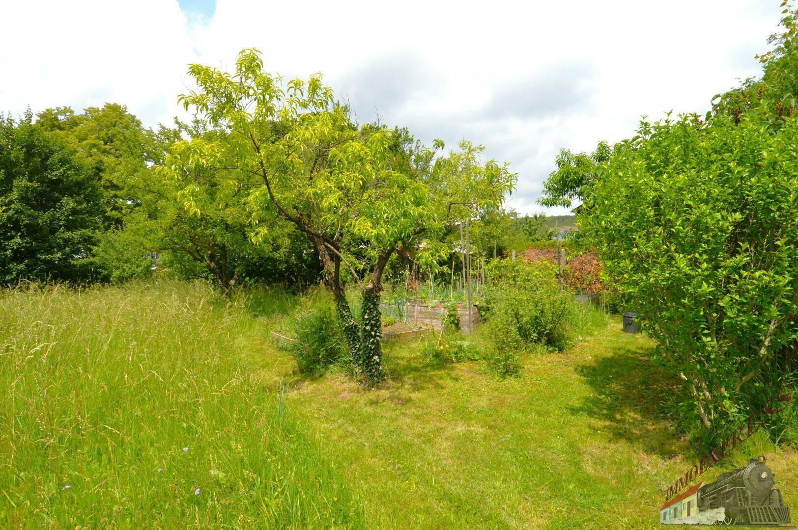 Naturbelassener Gartenbereich mit hohen Gräsern und jungen Obstbäumen, ideal für den Anbau.
