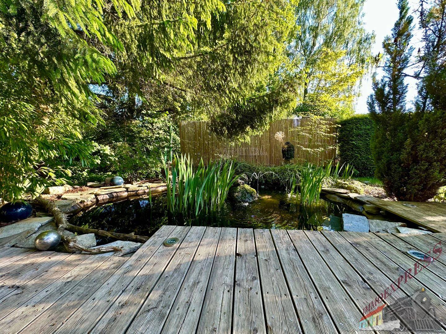 Natürlicher Gartenteich mit Holzsteg und üppiger Bepflanzung in sonniger Umgebung.