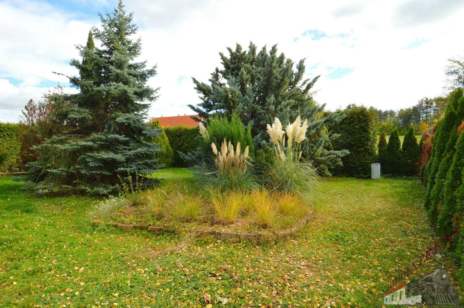 Gepflegter Garten mit verschiedenen Bäumen, Sträuchern und Ziergräsern.