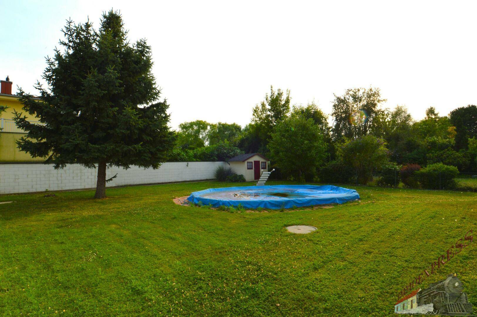 Großer Garten mit abgedecktem Aufstellpool, Gartenhaus und hohen Bäumen.