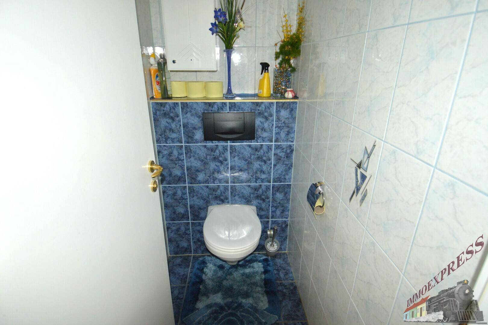 Kleines WC mit blauen und weißen Fliesen, ausgestattet mit einer Toilette und einer Ablage.