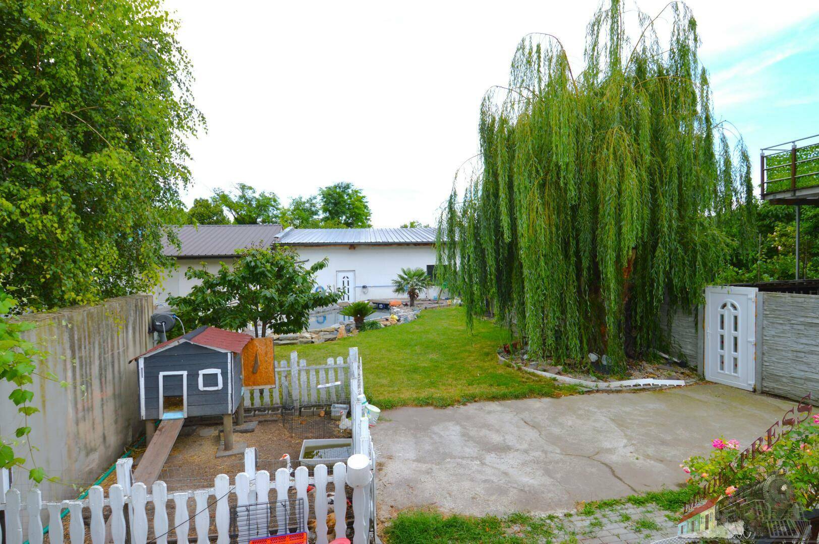 Geräumiger Garten mit großer Trauerweide, Rasenfläche und kleinem Spielhaus.
