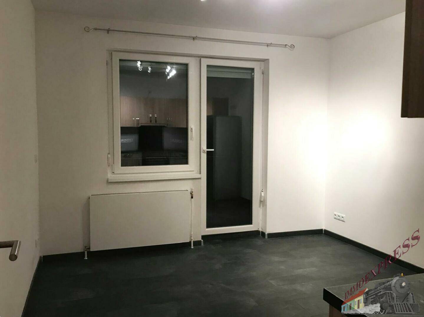 Leerer Raum mit weiß gestrichenen Wänden und dunklem Boden, mit Fenster und Außentür.