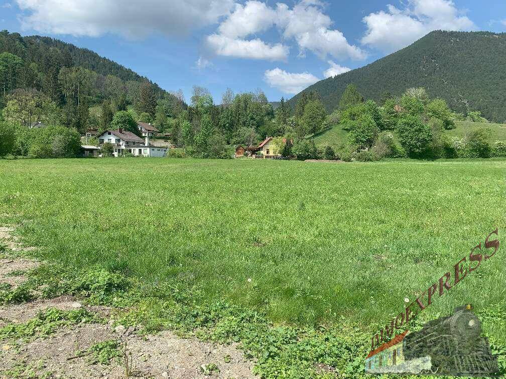 Idyllische Landschaft mit weitem Grünland, umgeben von Häusern und sanften Hügeln mit Wald.