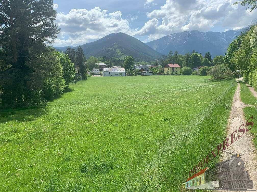 Sonnige Wiesenlandschaft mit Blick auf ein Dorf und schneebedeckte Berggipfel in der Ferne.