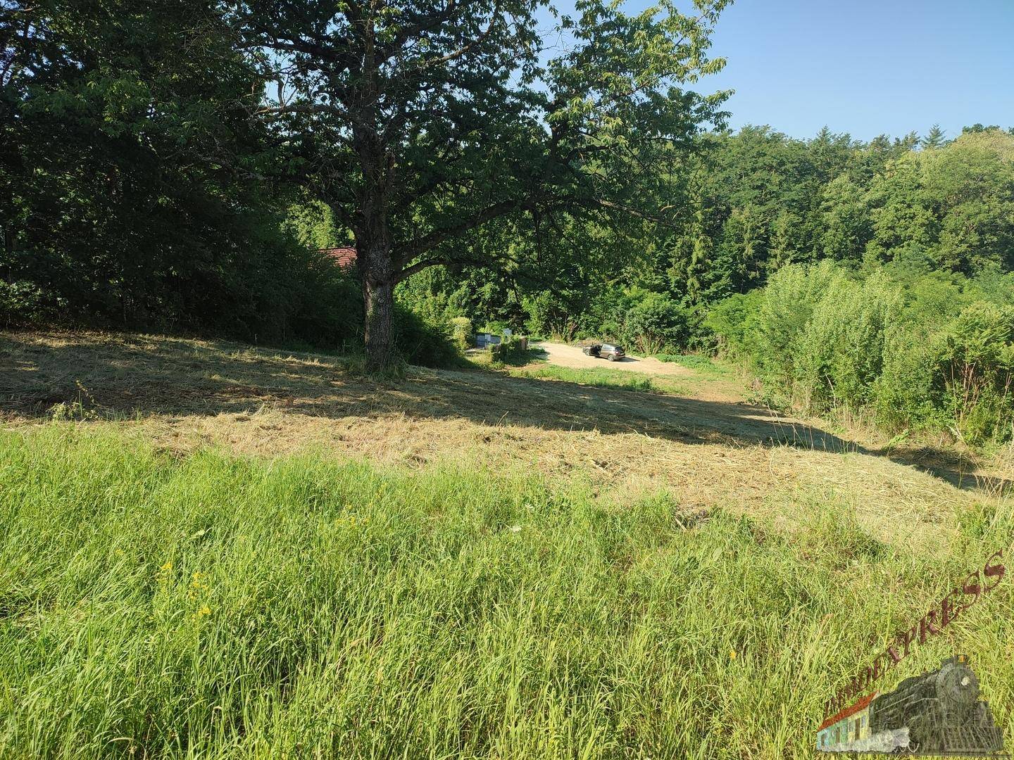 Sonniges Gartengrundstück mit gemähtem und hohem Gras, umgeben von Bäumen.