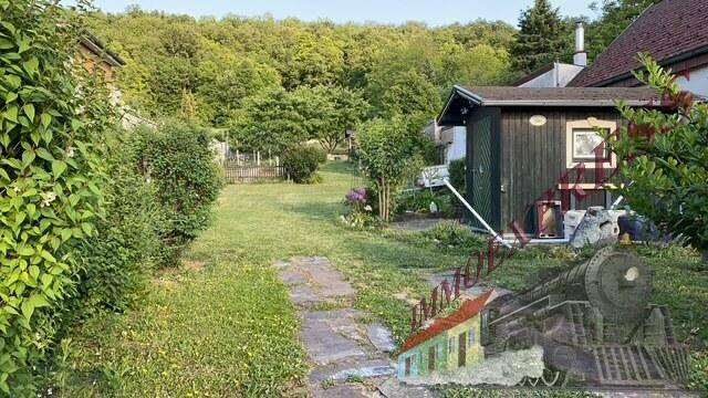 Gartenweg führt zu einem kleinen Holzschuppen, umgeben von Sträuchern und Bäumen.