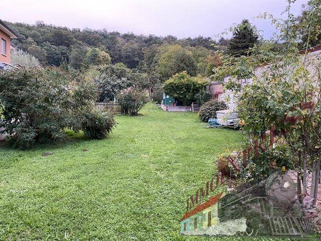 Weitläufiger Garten mit Rasen, Sträuchern und Bäumen, der zu einem bewaldeten Hang führt.