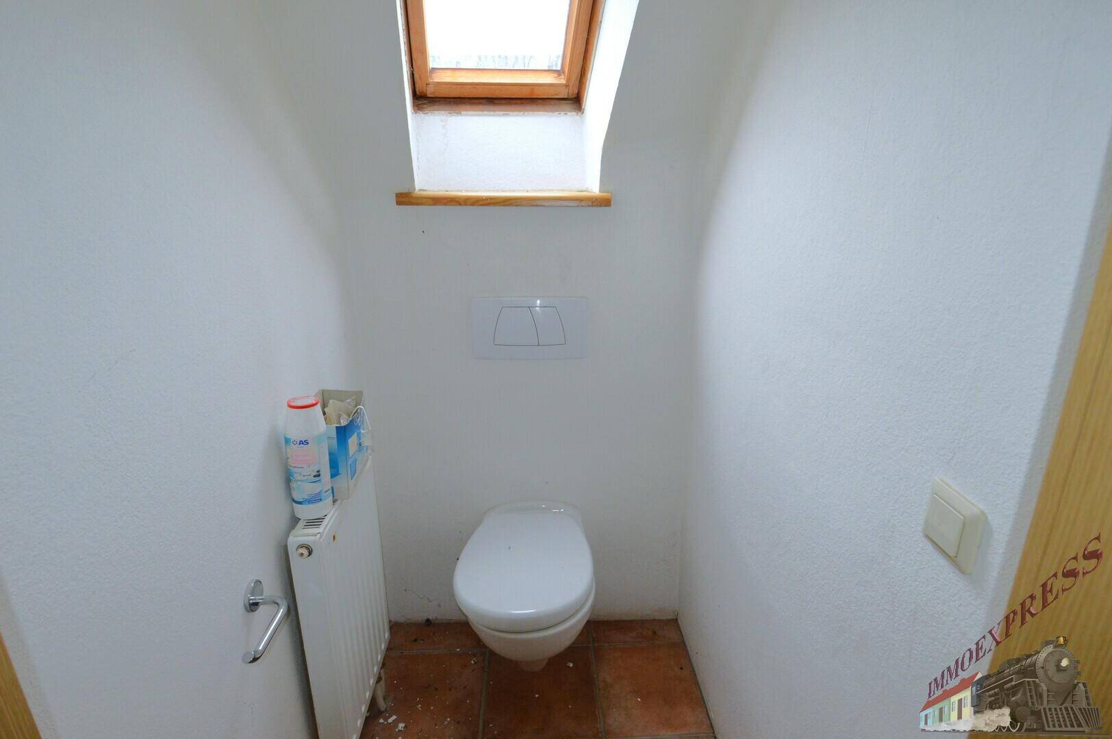 Kleines WC mit Wand-WC, Terrakotta-Fliesenboden und einem Dachfenster für natürliches Licht.