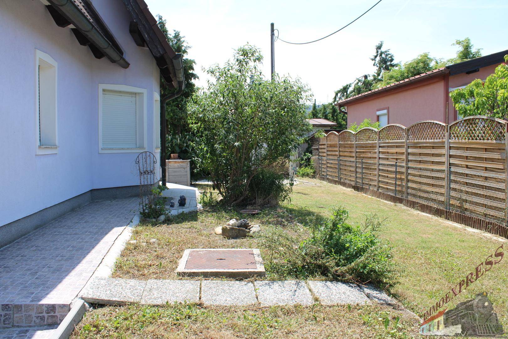 Seitlicher Gartenbereich mit gepflastertem Weg und grüner Bepflanzung.