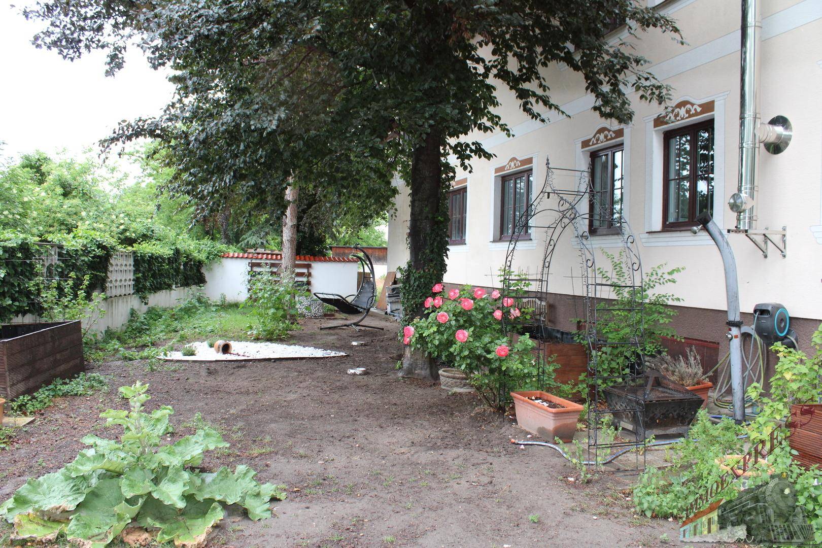 Hinterhofgarten mit Rosenbüschen, Schaukel und Baumbestand, der noch gestaltet werden muss.