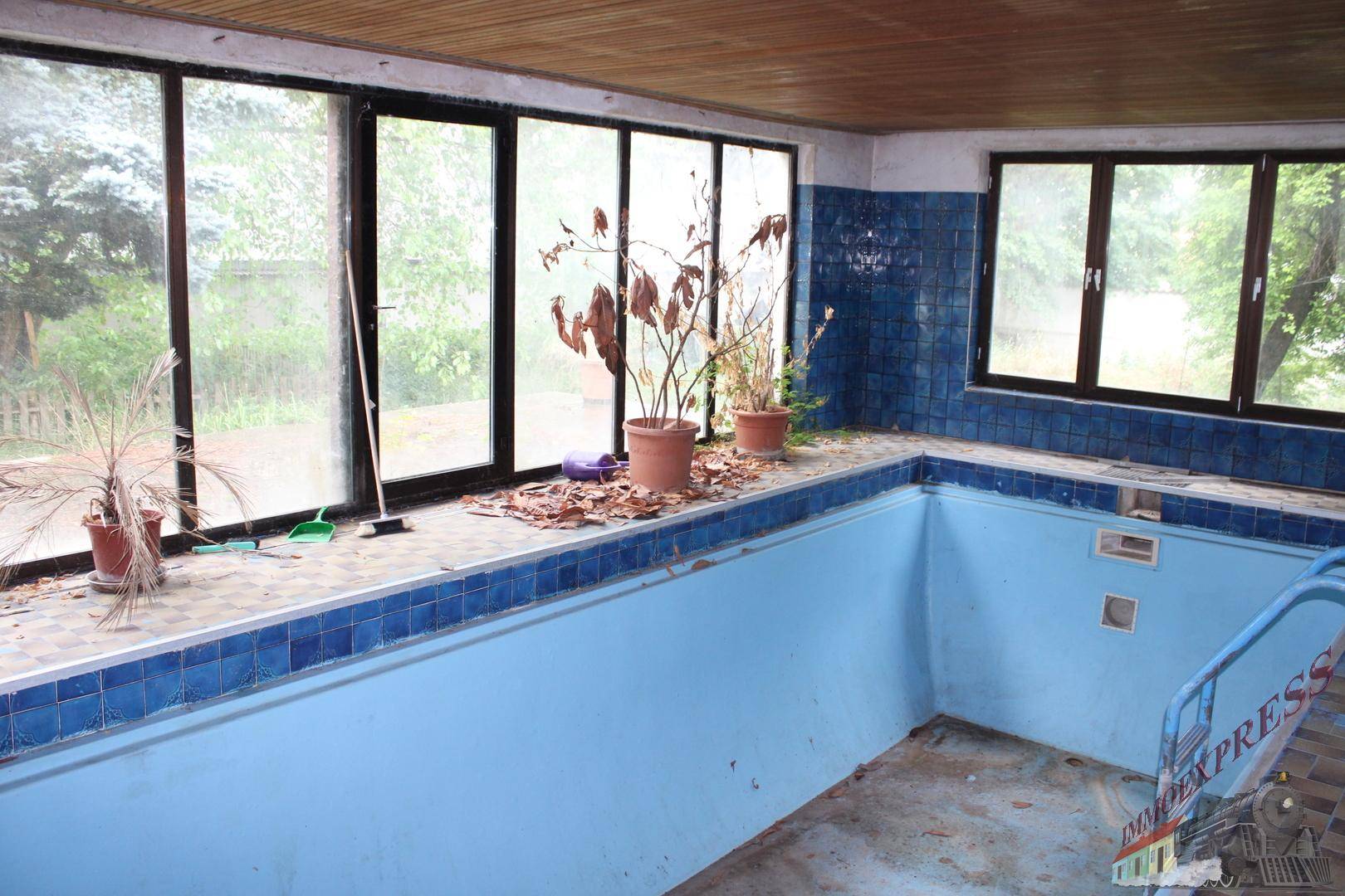 Innenpoolbereich mit blauen Fliesen und großen Fenstern, umgeben von Pflanzen.