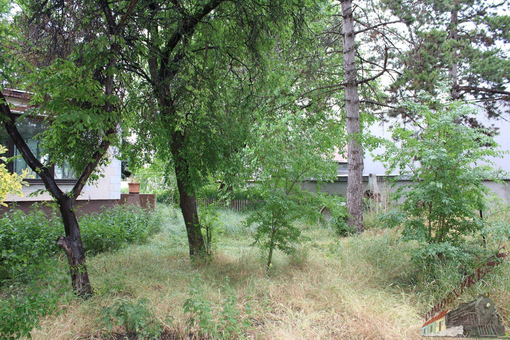Großer, naturbelassener Gartenbereich mit hohen Gräsern und verschiedenen Bäumen.