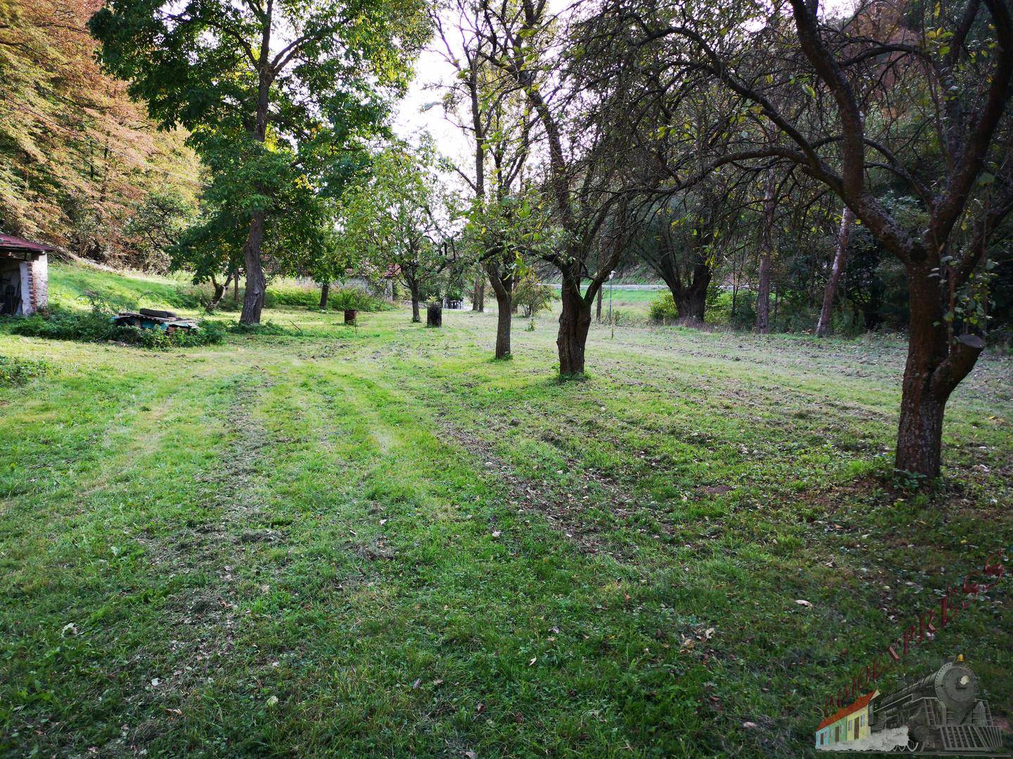 Weitläufige grüne Wiese mit verstreuten Obstbäumen, umgeben von Wald und Natur.