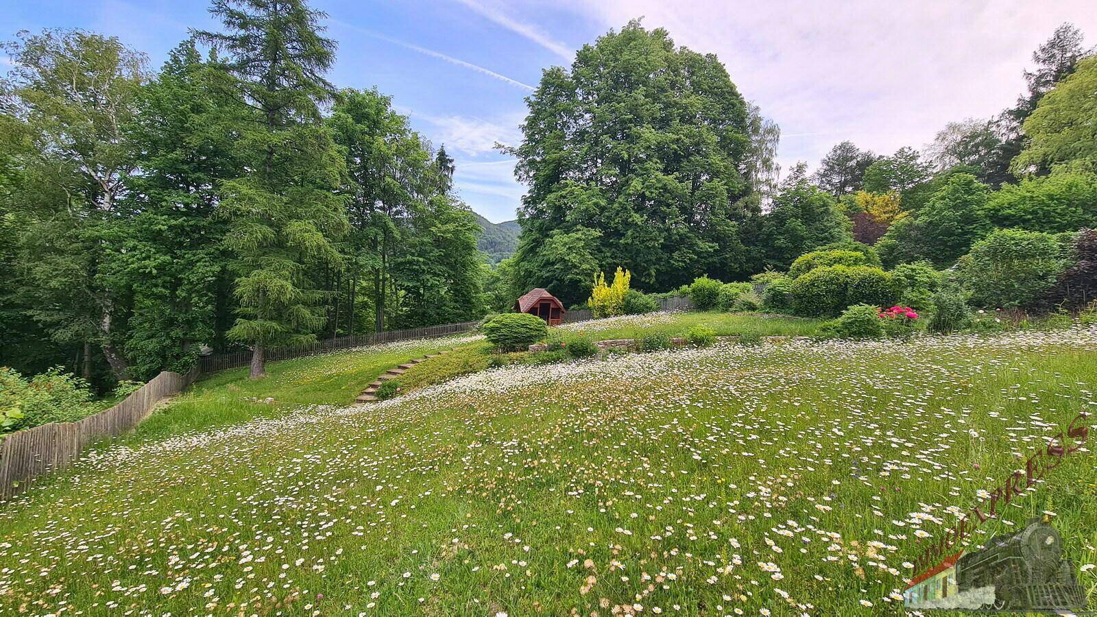 Weitläufiger Garten mit Blumenwiese, hohen Bäumen und einem charmanten Gartenhaus.