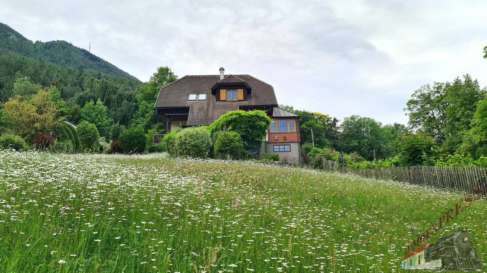 Hausansicht über eine weite Blumenwiese mit Gänseblümchen und bewaldeten Hügeln im Hintergrund.