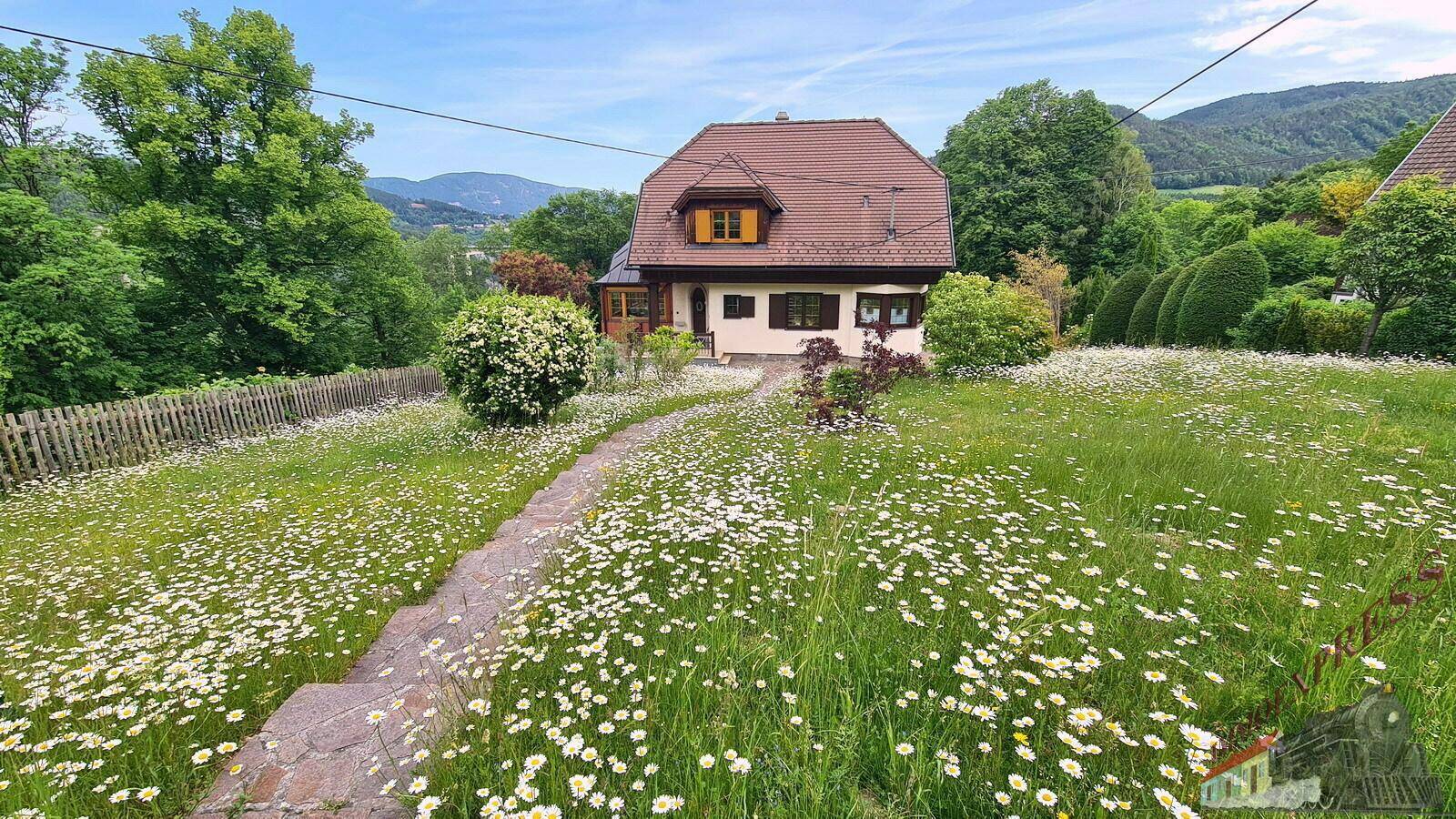Frontansicht des Hauses mit einem Steinweg, der durch eine blühende Gänseblümchenwiese führt.