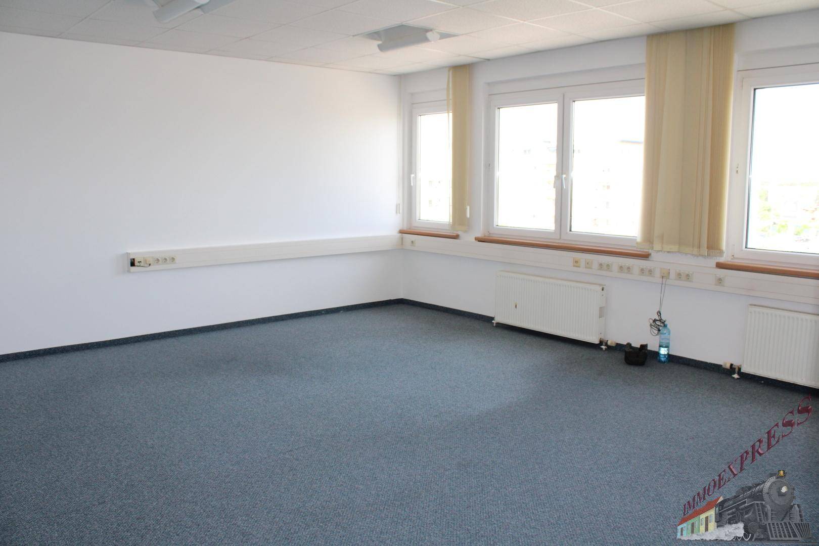 Heller Büroraum mit großen Fenstern und blauem Teppichboden, ideal für ruhige Arbeitsbereiche.