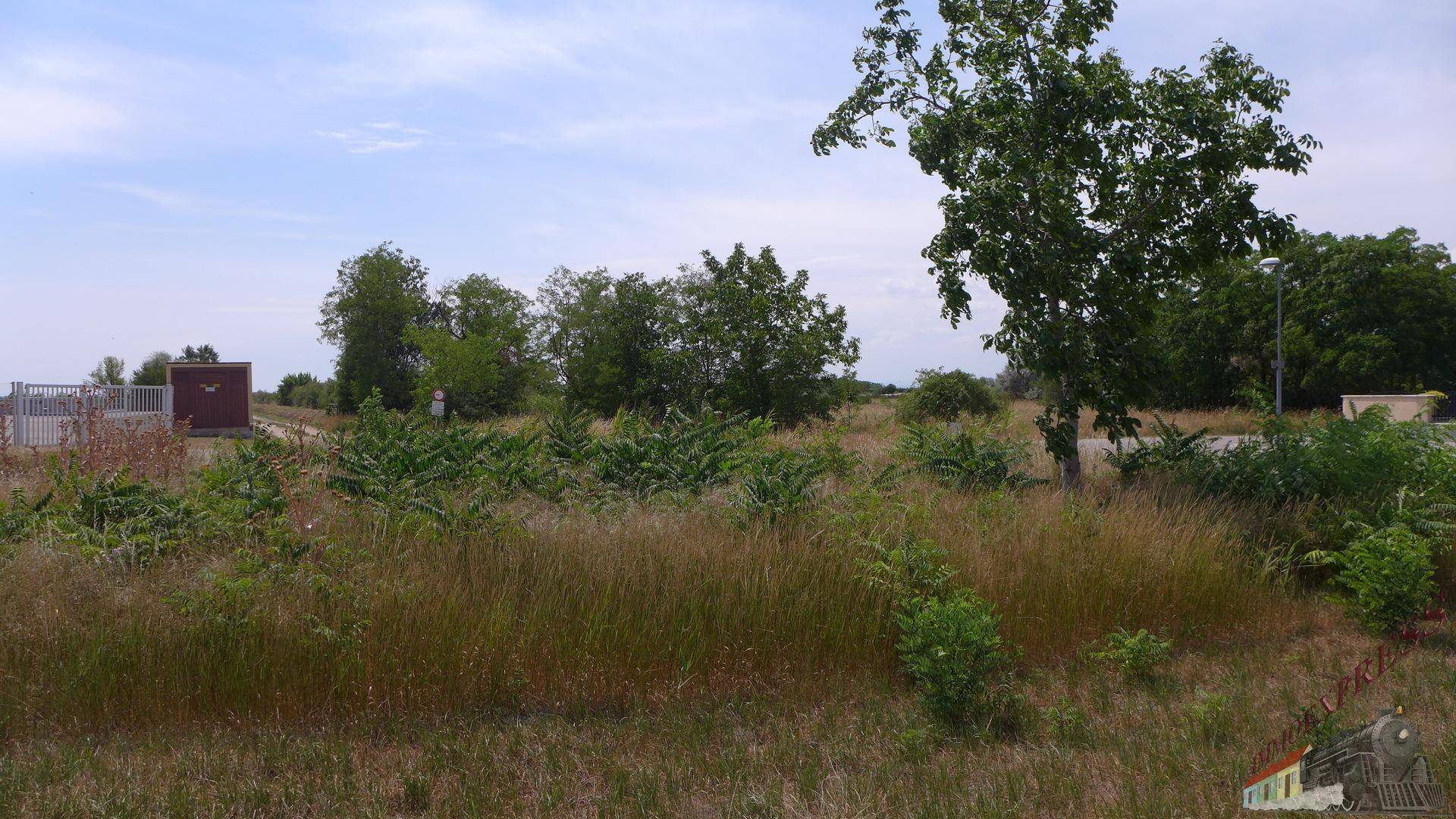 Weitläufiges, unbebautes Grundstück mit dichter Vegetation und Bäumen unter blauem Himmel.