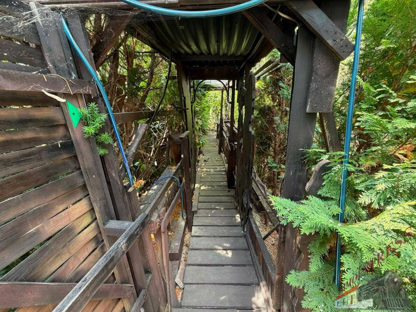 Rustikaler Holzsteg führt durch dichte Bepflanzung im Gartenbereich des Anwesens.