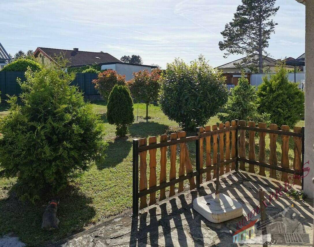 Blick vom Terrassenbereich in den sonnigen Garten mit verschiedenen Bäumen und einem Holzzaun.