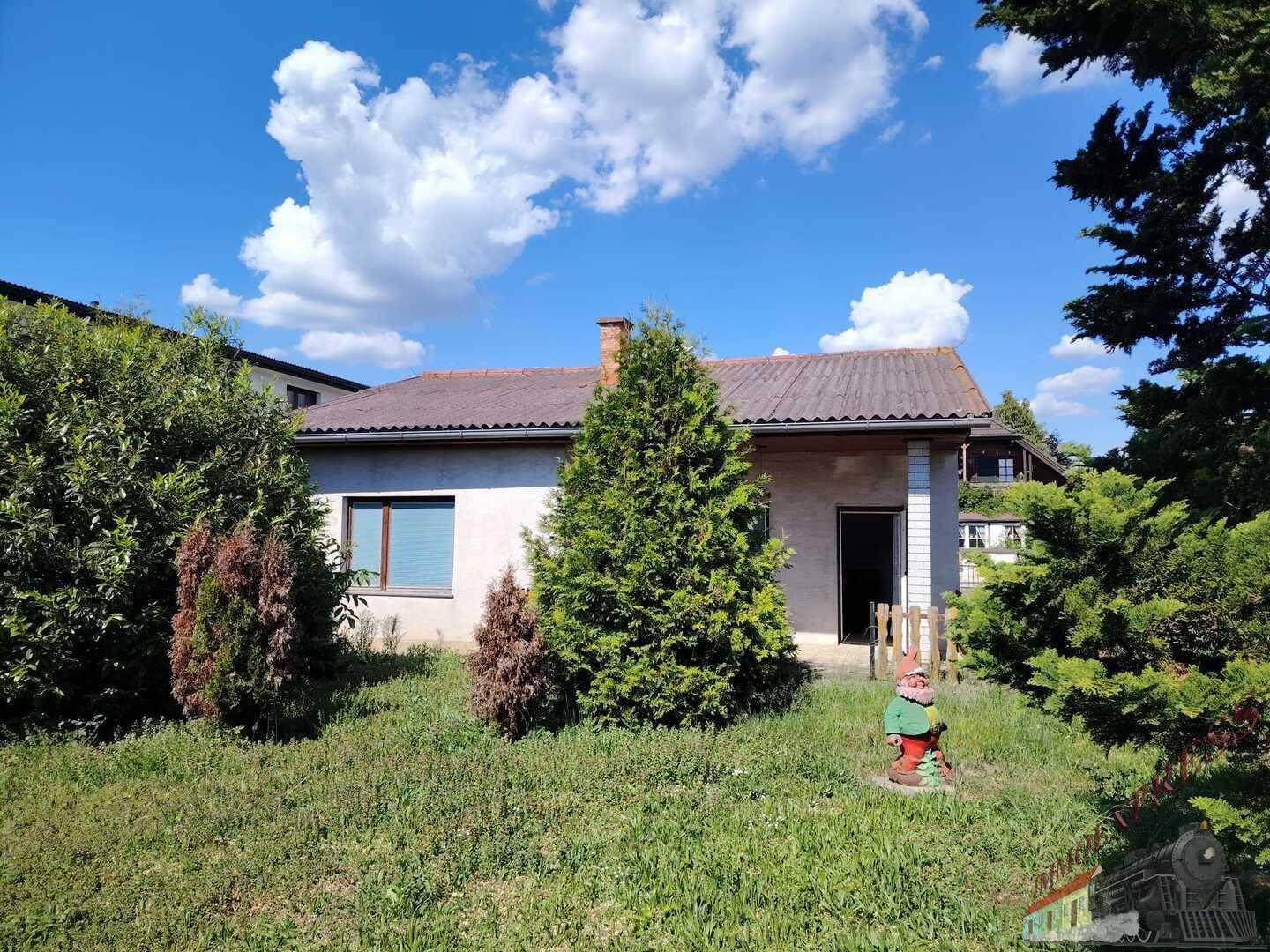 Gartenbereich vor dem Haus mit Rasen, Bäumen und einem Gartenzwerg unter strahlendem Himmel.