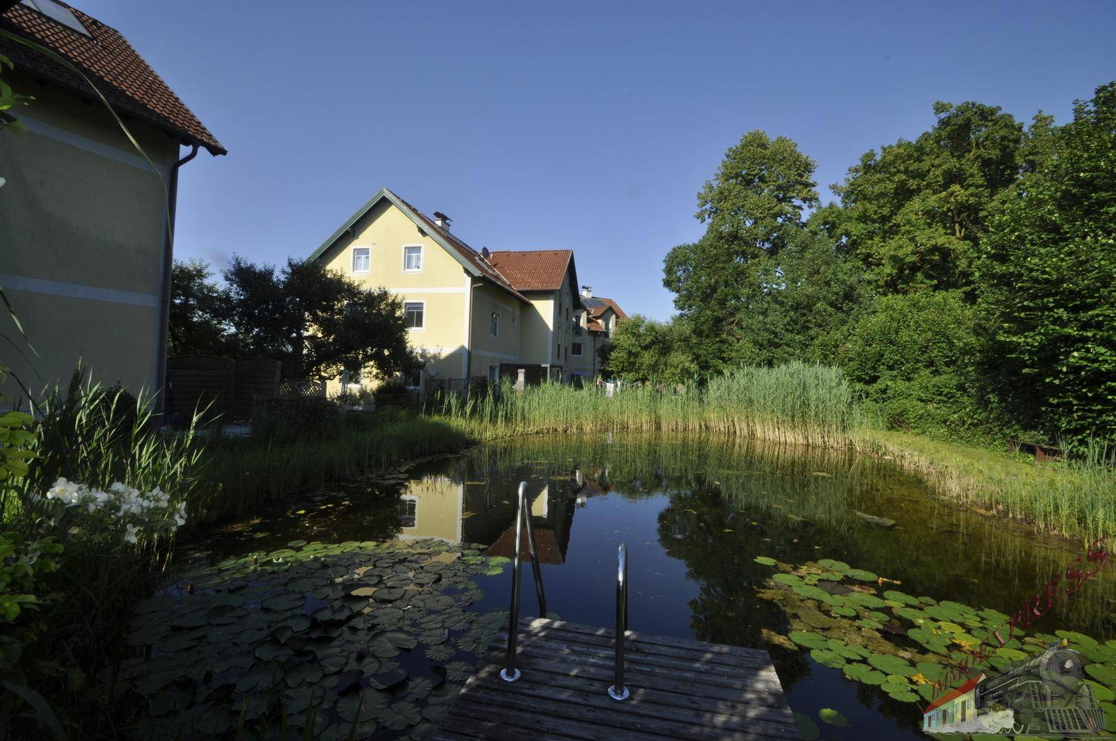 Idyllischer Gartenbereich mit großem Teich, umgeben von Schilf und dem charmanten Wohnhaus.