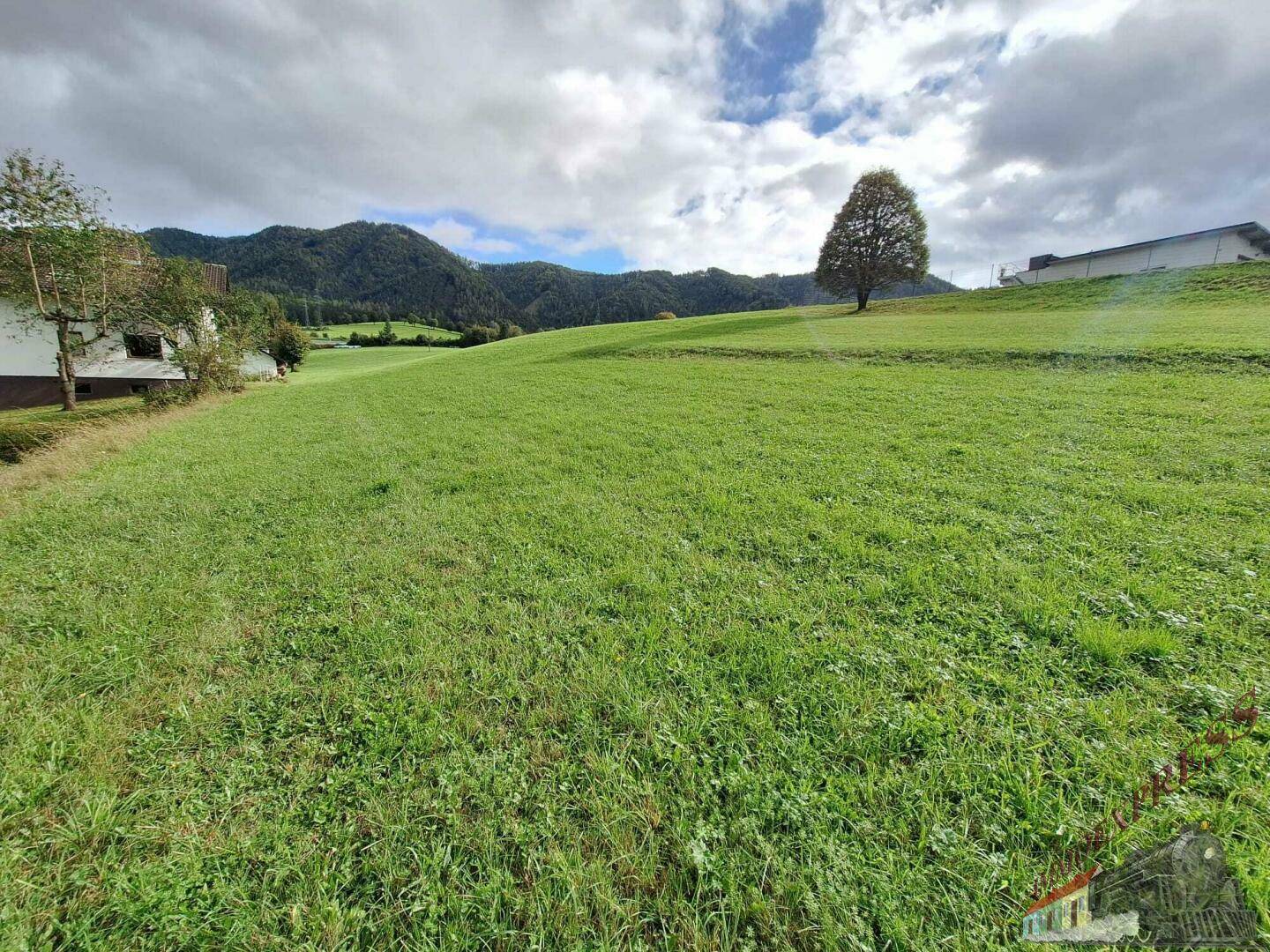 Weite grüne Wiesenfläche mit vereinzelten Häusern und Bergen unter einem bewölkten Himmel.