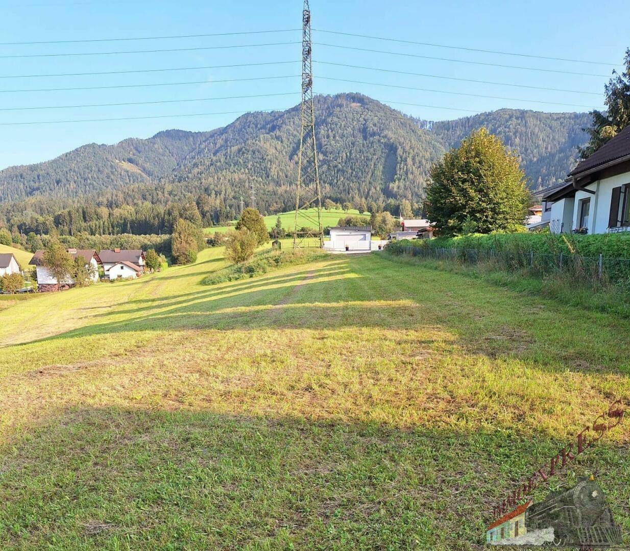 Sonnige grüne Wiese mit Häusern, Bergen und einem großen Strommast im Hintergrund.