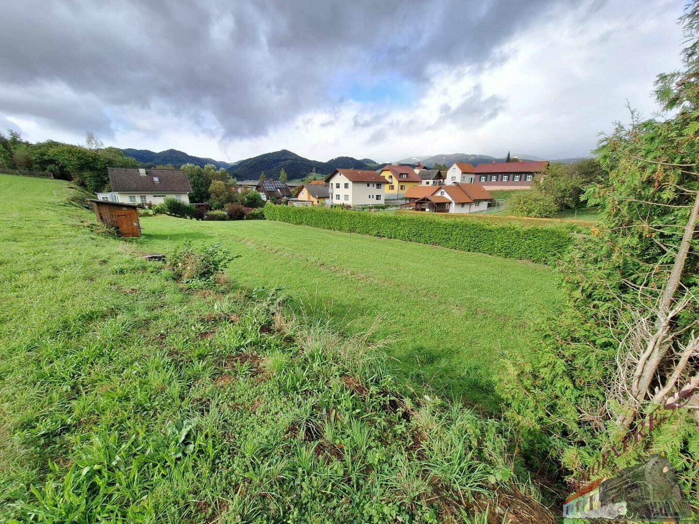 Grüne Wiese mit Hecke, Häusern und bewölktem Himmel vor einer Bergkulisse.