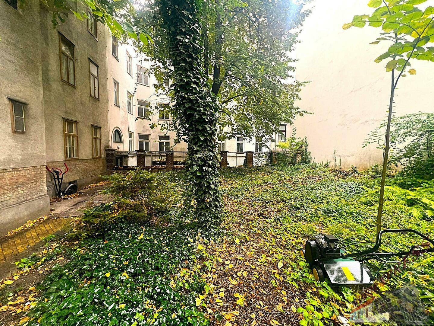 Grüner Hinterhofgarten mit Rasenfläche, Bäumen und üppiger Vegetation, umgeben von Gebäuden.