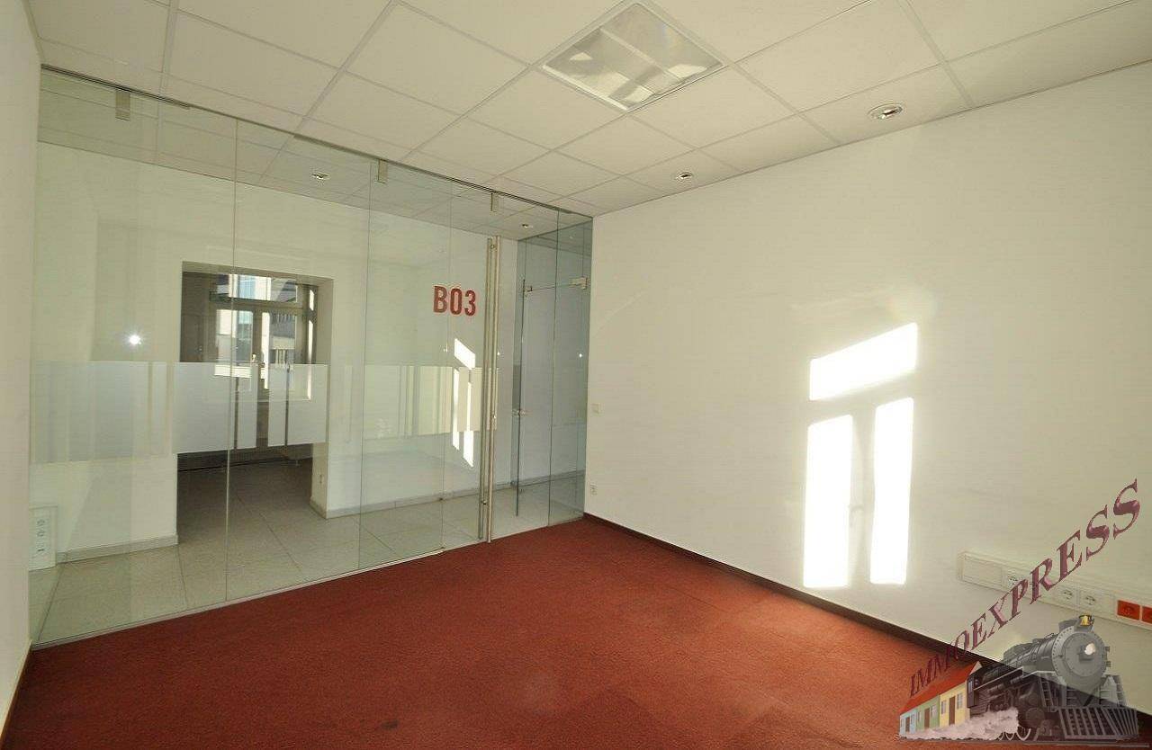 Modernes Büro mit viel Tageslicht, rotem Teppichboden und einer stilvollen Glaswand, die den Raum abgrenzt.
