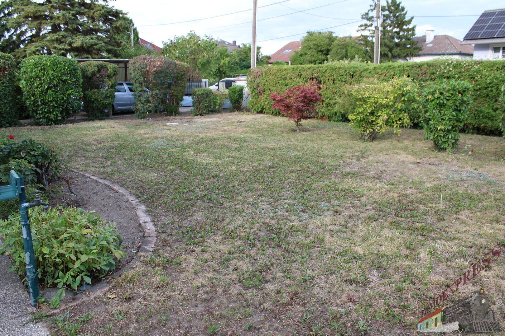 Weitläufiger Gartenbereich mit Rasenfläche, umgeben von dichten Hecken und Sträuchern.