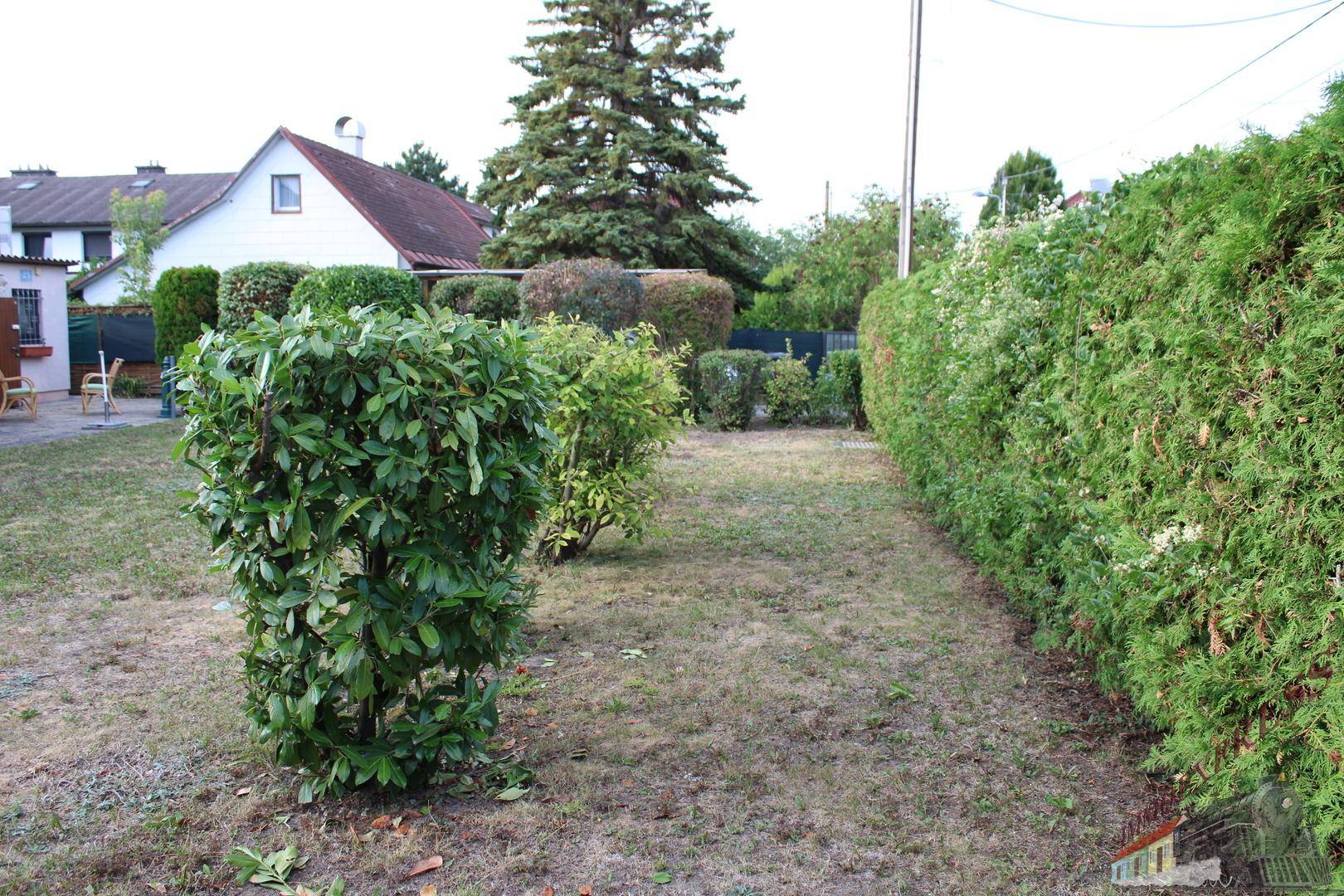 Schmaler Gartenweg zwischen einer hohen Hecke und kleineren Büschen im Außenbereich.