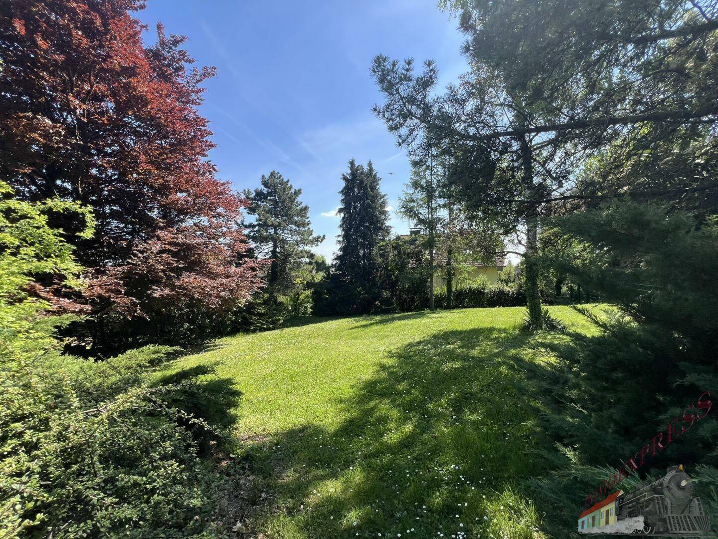Weitläufiger Garten mit grüner Rasenfläche und altem Baumbestand unter strahlendem Himmel.