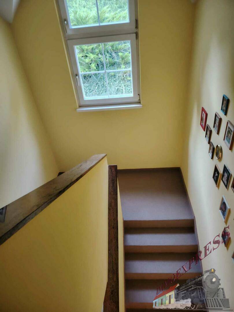 Treppenaufgang mit Teppichboden und einem Fenster, das den Bereich mit Tageslicht versorgt.