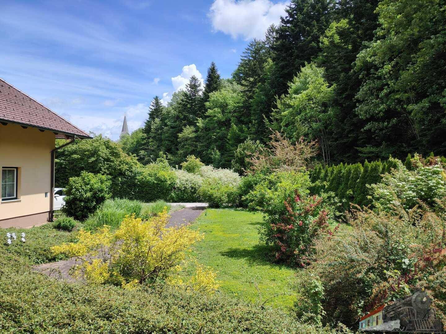Weitläufiger Gartenbereich mit üppiger Vegetation und Blick auf die umliegende bewaldete Landschaft.