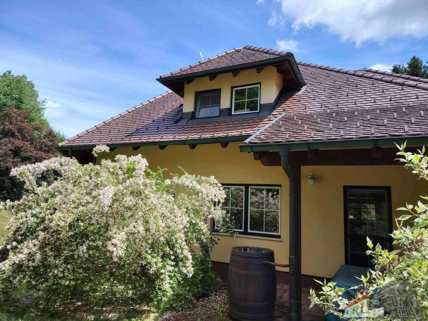Seitenansicht des Hauses mit blühenden Sträuchern und einem Regenfass unter dem Dachüberstand.