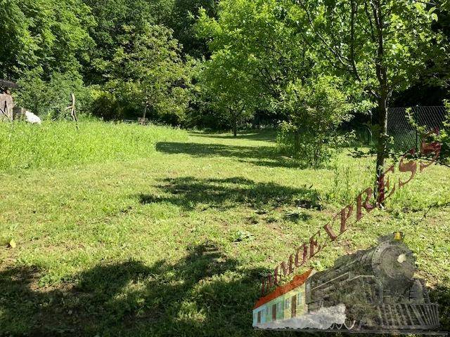 Weitläufige grüne Gartenfläche mit Bäumen und viel natürlichem Licht, perfekt für Outdoor-Aktivitäten.