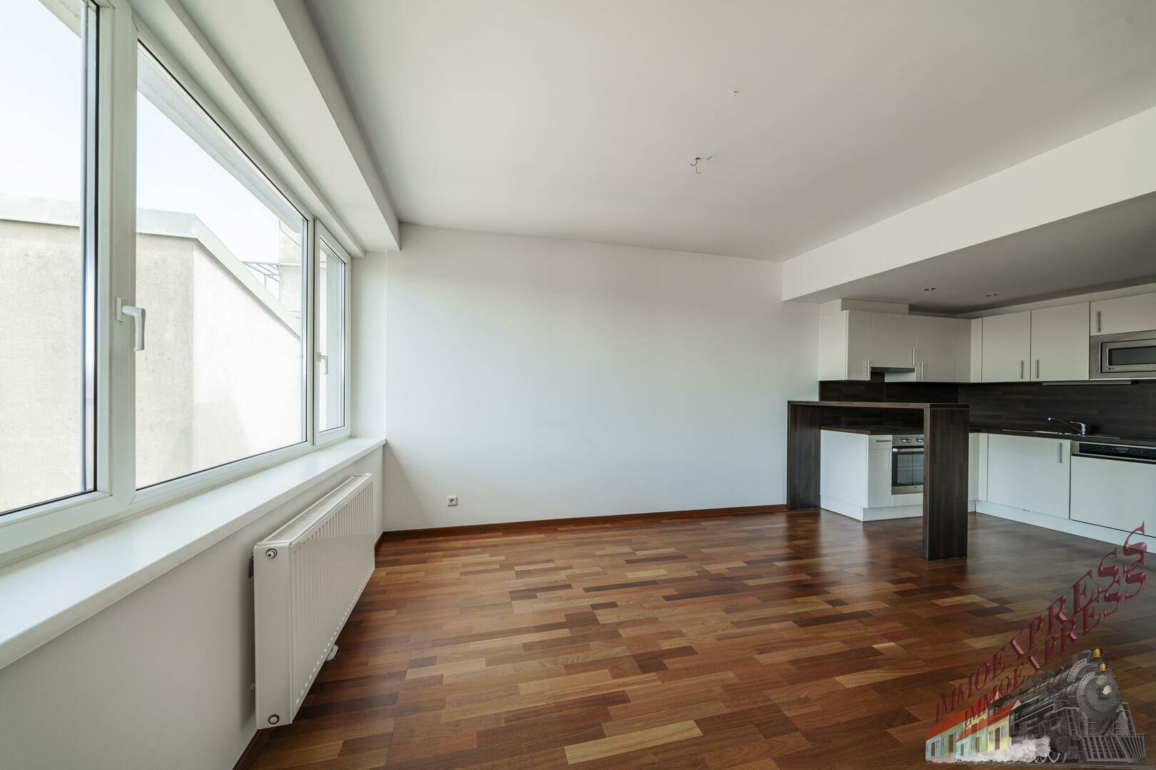 Heller Wohnbereich mit integrierter Küche und Frühstücksbar, ideal für offenes Wohnen.