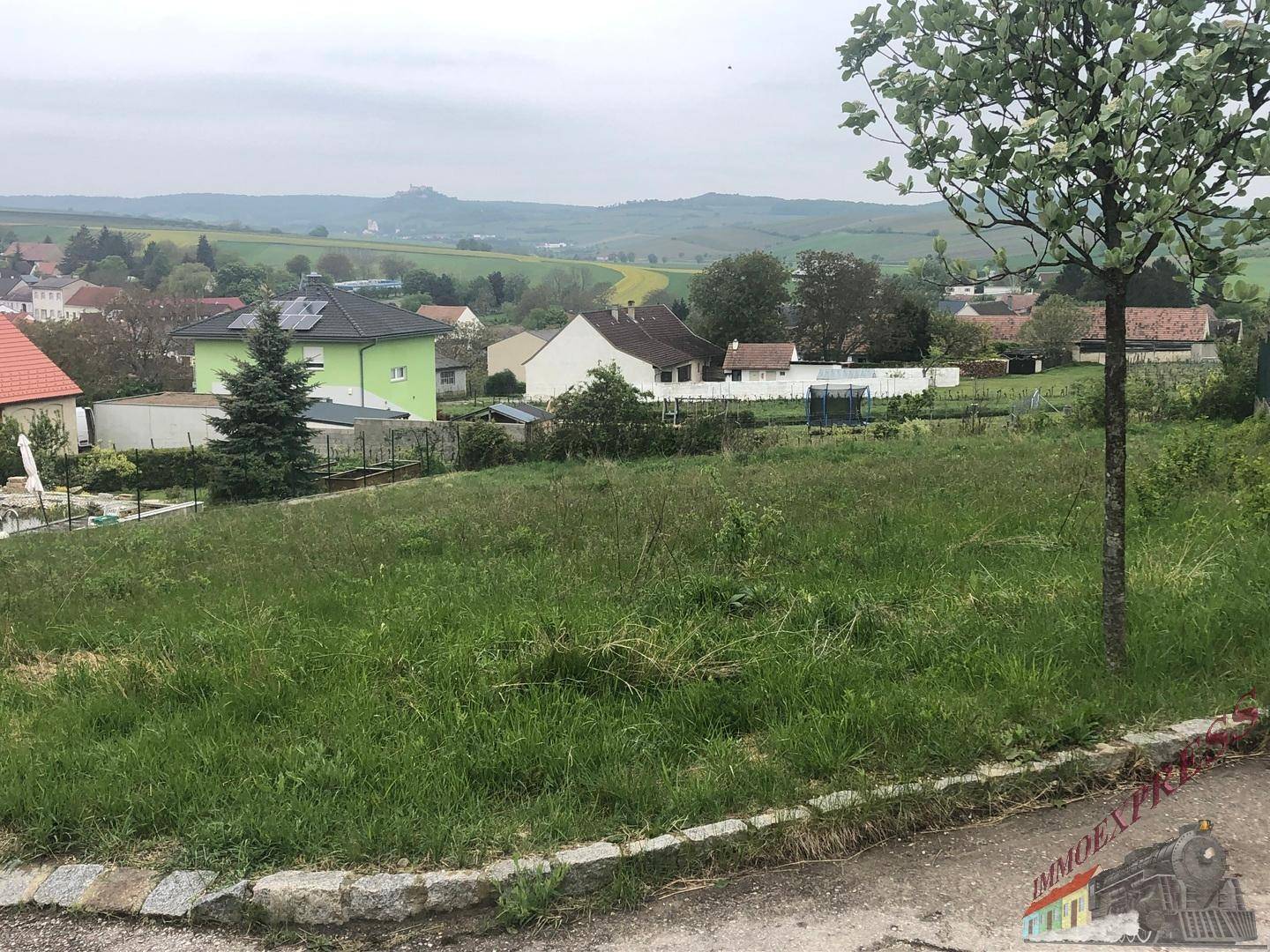 Weitläufiges Grundstück mit jungem Baum und Panoramablick auf die hügelige Landschaft.