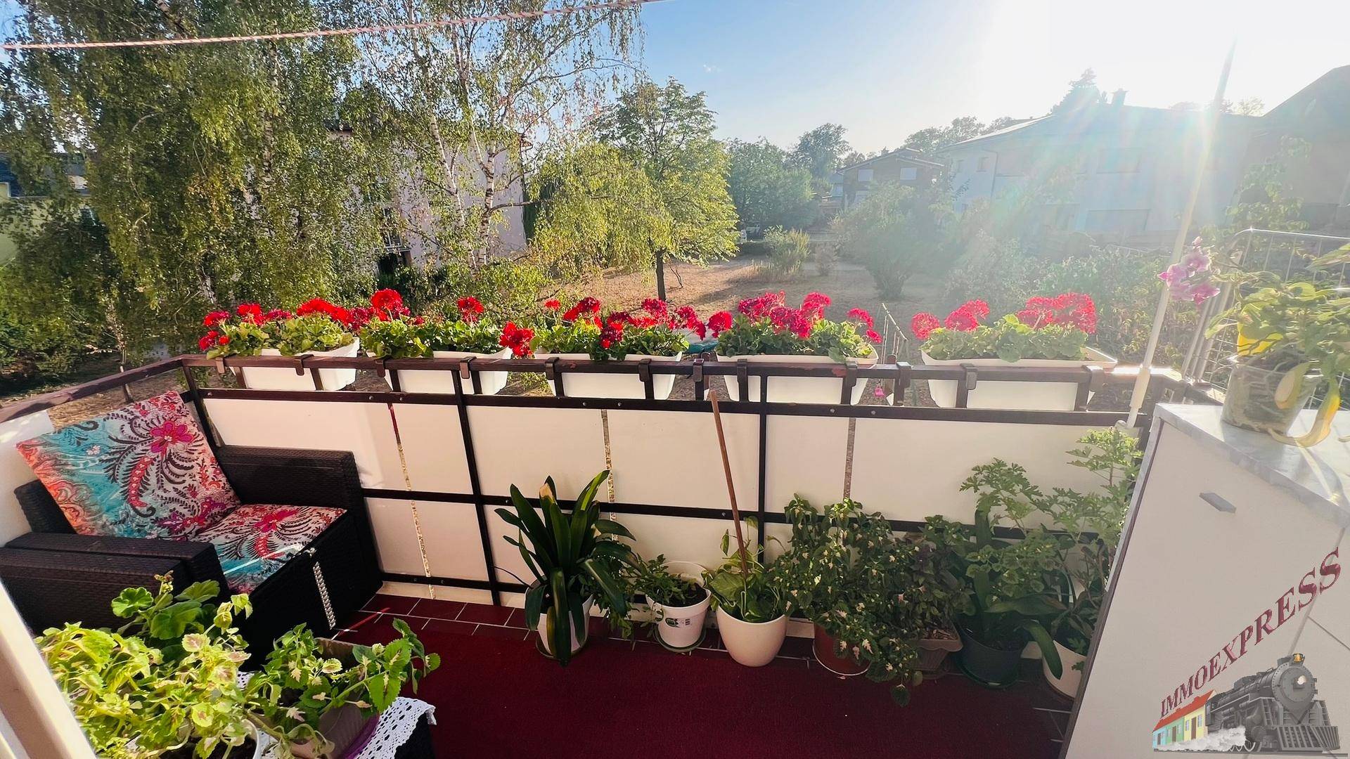 Heller Balkon mit vielen Pflanzen und einer gemütlichen Sitzecke, ideal zum Entspannen im Freien.