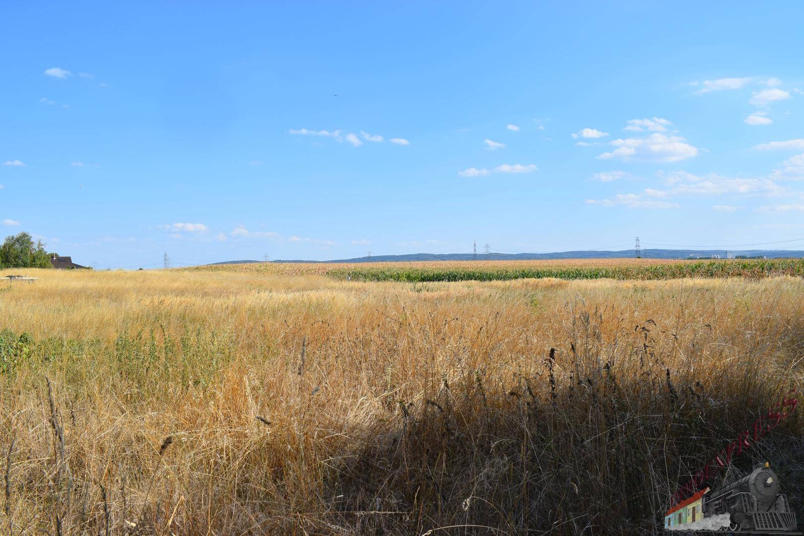 Weite, offene Landschaft mit goldenen Feldern unter einem strahlend blauen Himmel und Fernsicht.