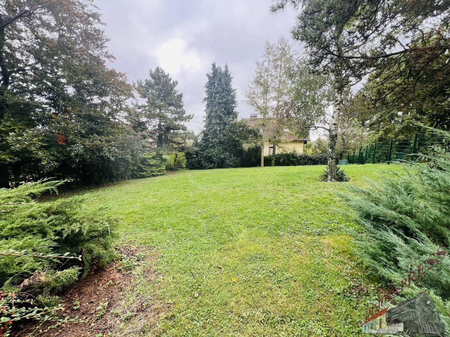 Großer Garten mit Rasen und altem Baumbestand, das Haus ist im Hintergrund sichtbar.