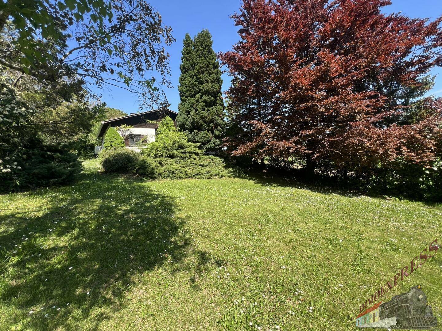 Weitläufiger Garten mit Rasen, hohen Bäumen und dem Haus im Hintergrund an einem sonnigen Tag.