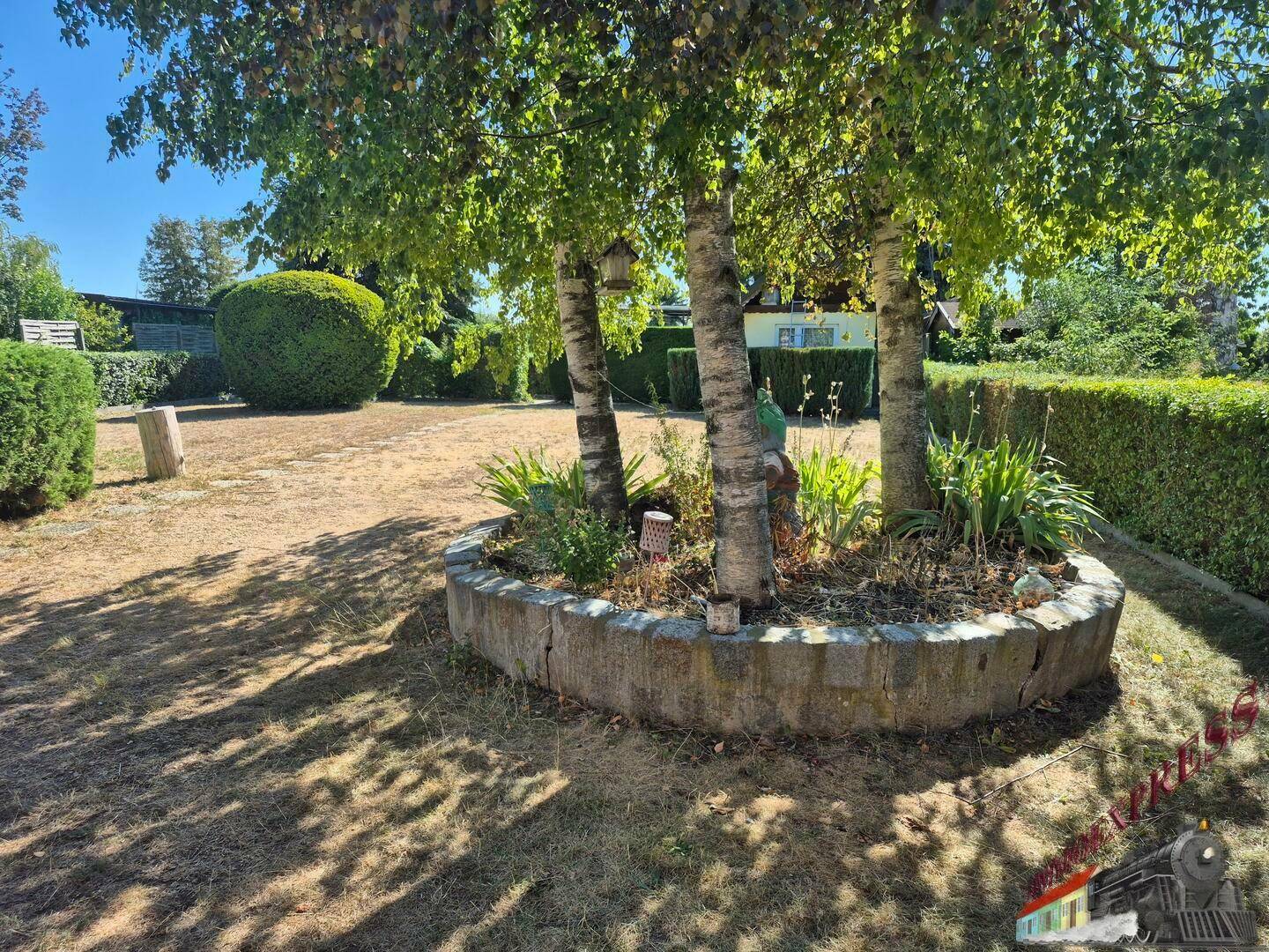 Gartenbereich mit Bäumen in einem Betonring, umgeben von trockenem Rasen und Hecken.