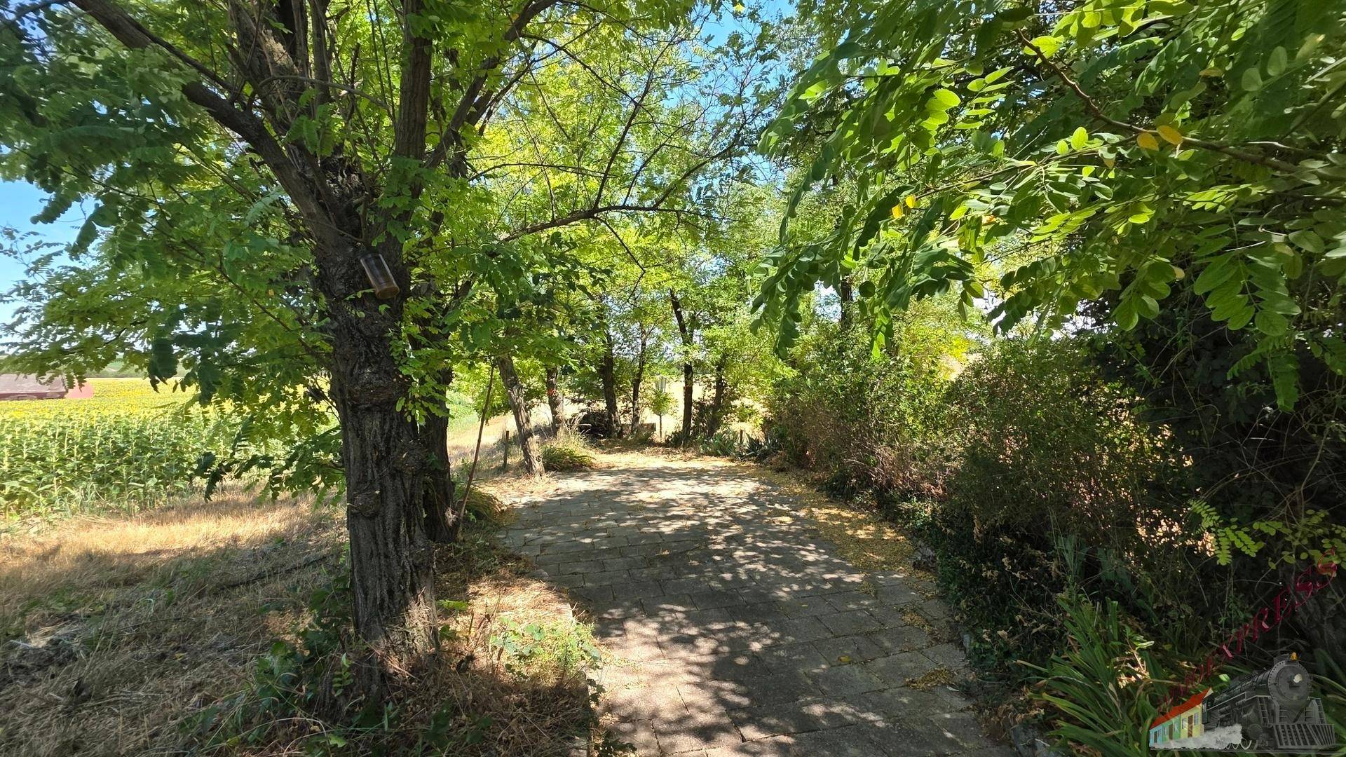 Malerischer gepflasterter Weg, gesäumt von Bäumen, mit Blick auf weite Felder.