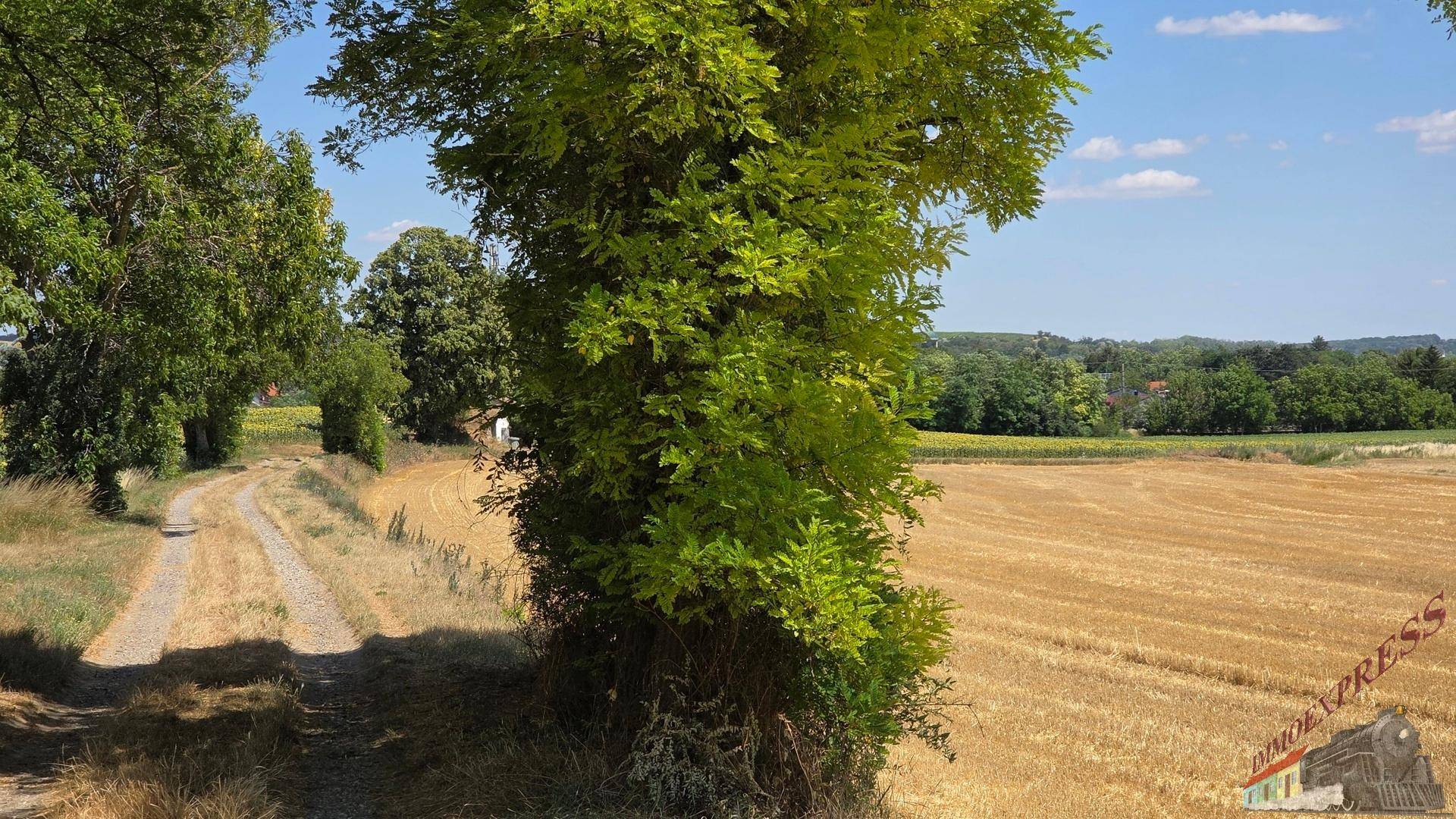 Feldweg führt durch eine ländliche Landschaft mit abgeernteten Feldern und Bäumen.