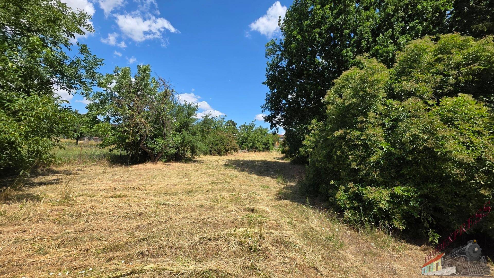 Sonnige Grünfläche mit natürlicher Vegetation und weitem Blick in die Umgebung.