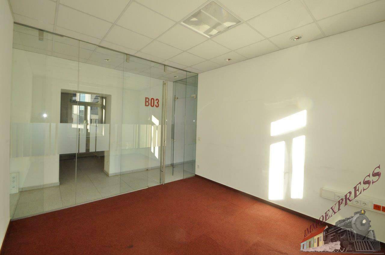 Geräumiges Büro mit rotem Teppichboden, weißen Wänden und einer eleganten Glaswand, die Tageslicht hereinlässt.